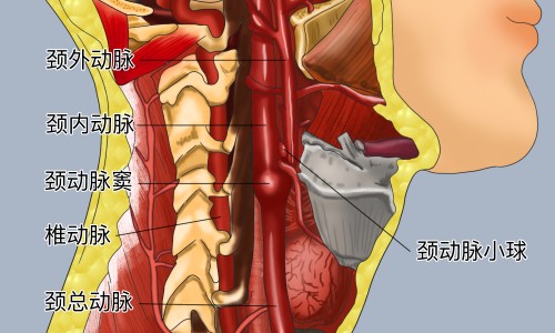 竹笋猪骨头汤10分钟搞定-骨头竹笋汤有什么营养价值网 - 网站提供竹笋骨头汤可以加什么配料小常识、竹笋炖骨头加点啥营养